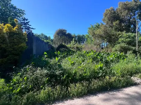 Monte Olivia S/N entre Isla Vigia e Isla Trinidad