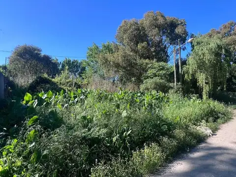 Terreno en Venta en Camet, USD 6.200