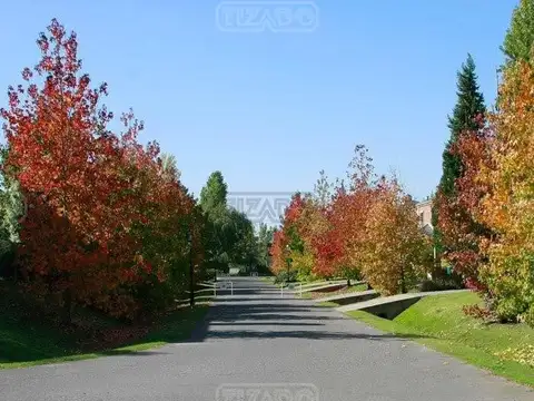 Terreno en Venta en Pilar del Este - San Ramon, USD 42.000