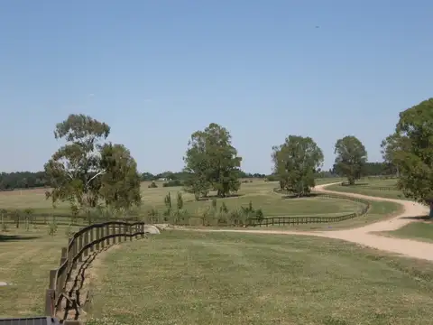 Terrenos en Barrio de Chacras Quebradas