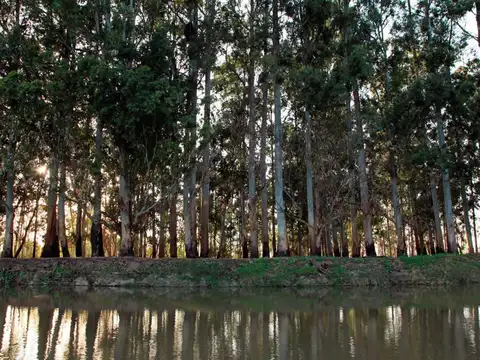 Terreno en Venta de 2020,0 m2