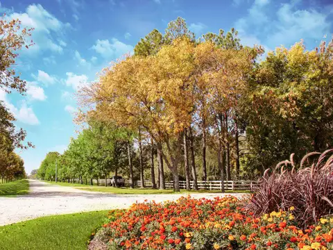 Terreno en Venta en Fincas de San Vicente, USD 55.000