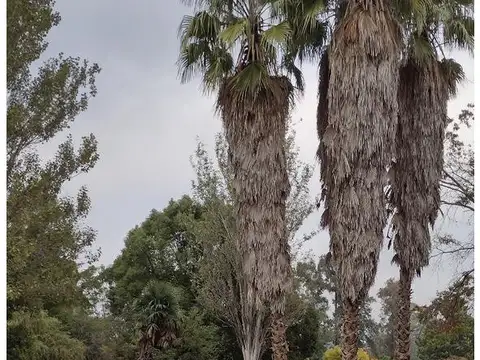 Liquido! Venta Parcela cementerio Parque de la gloria, lista para escriturar, oporunidad!