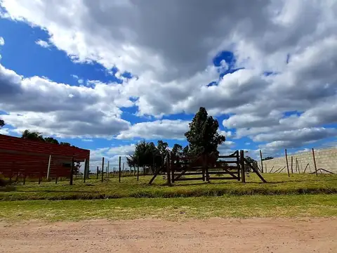 Terreno en Venta de 725,0 m2