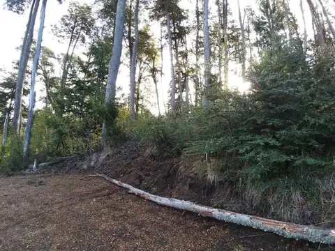 Faldeo del Bayo, Villa la Angostura