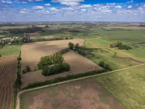 Campo en Venta de 32  ha