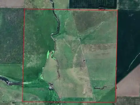 Oportunidad en Baradero: campo mixto de 100 hectáreas en venta