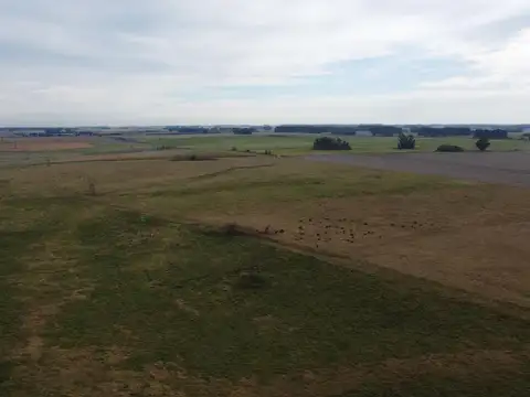 Oportunidad en Baradero: campo mixto de 100 hectáreas en venta