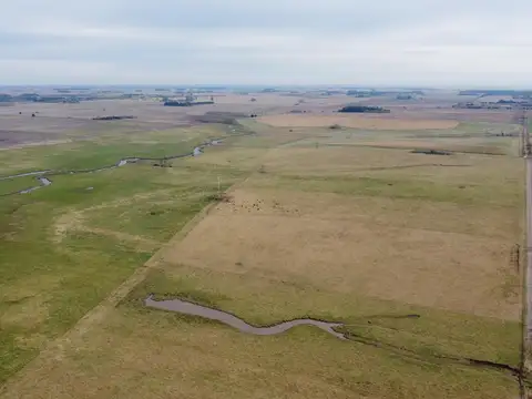 Oportunidad en Baradero: campo mixto de 100 hectáreas en venta