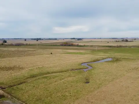 Oportunidad en Baradero: campo mixto de 100 hectáreas en venta