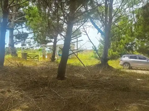 Terreno en Venta de 311,0 m2