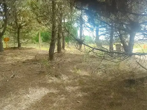 Terreno en Venta de 311,0 m2