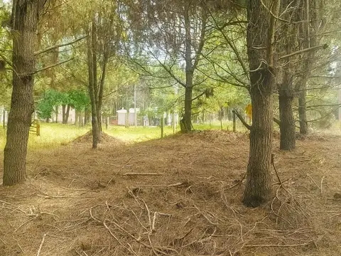 Lote en la Lucila del mar