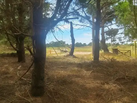 Av crucero 9 de julio y santa fe 100