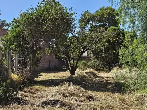 Terreno Leoncio de la Barrera 435