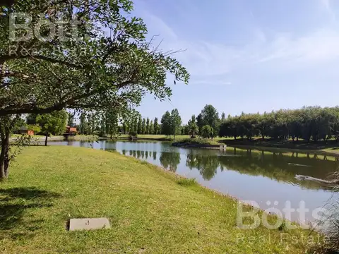 Papa Francisco  al 700