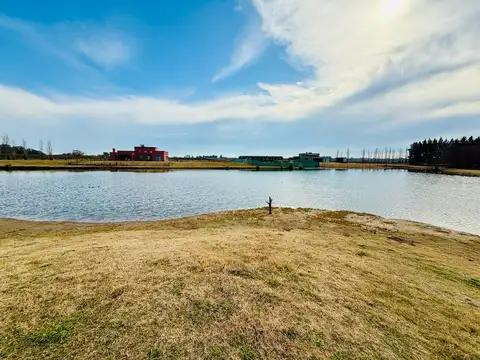 Papa Francisco  al 700