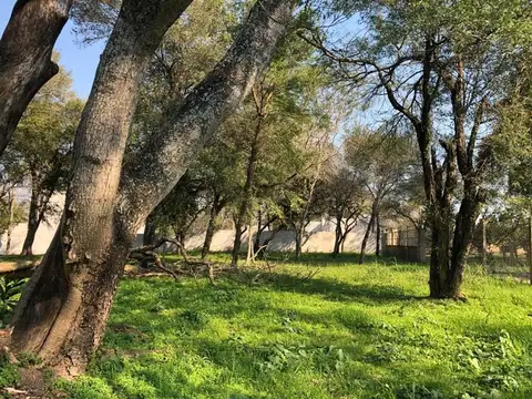 Portal de la Colonia I - Colonia Benitez - desde 725m2