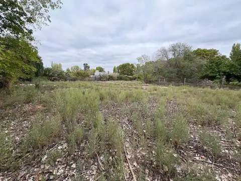 Terreno en Venta en Perdriel, USD 50.000