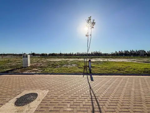 Terreno 500 m2 en barrio privado Funes lakes