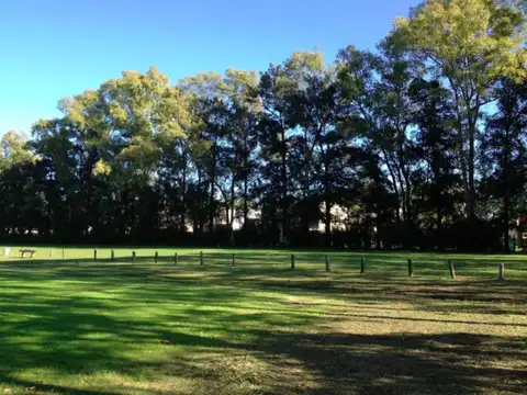 Leandro Niceforo Alem  al 3300