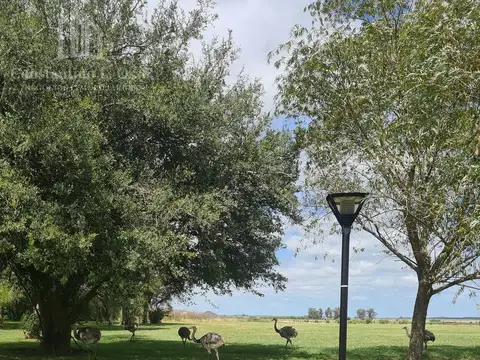 El Mirador - Ruta 2 - Km 90