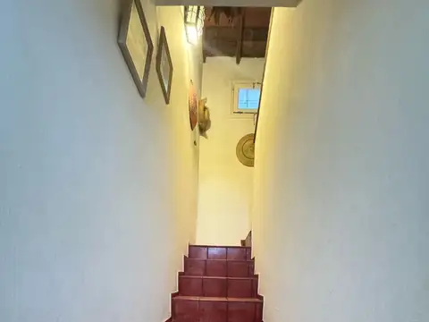 Kiyu 1 paseo 111 y 2