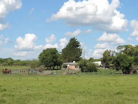 Oportunidad, chacra 18 ha / casa y aguada