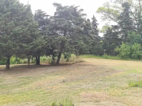 Elcira Escalante  al 800