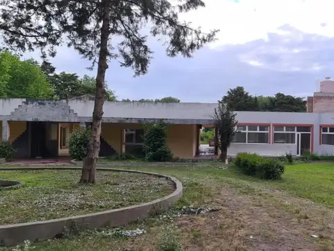 Elcira Escalante  al 800