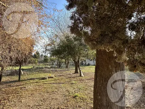 Terreno en Venta en Vuelta De Obligado, USD 35.000