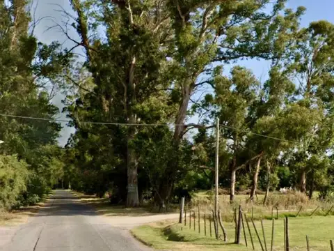 511 202 y 203 bis , Piso 0