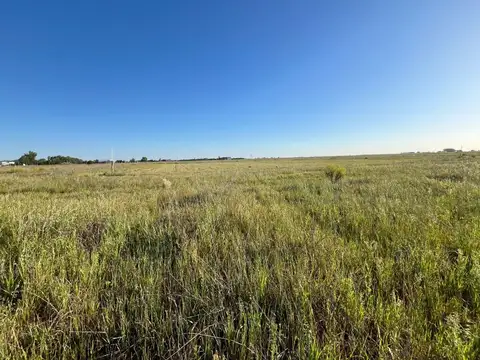 Terreno en Venta de 3854,0 m2