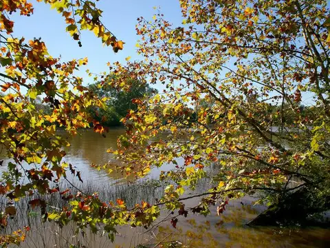 Av. Santa Maria al 4200