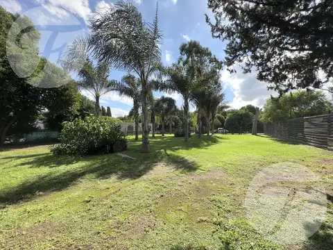 Calle principal de Vuelta de Obligado