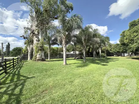 Calle principal de Vuelta de Obligado