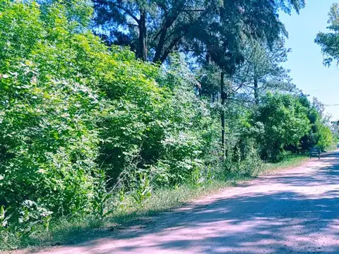 Terreno en Venta de 2981,0 m2