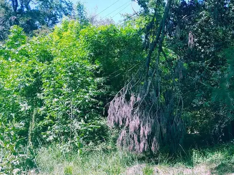 LOTE de 37 x 79 en PARADA DE ROBLES