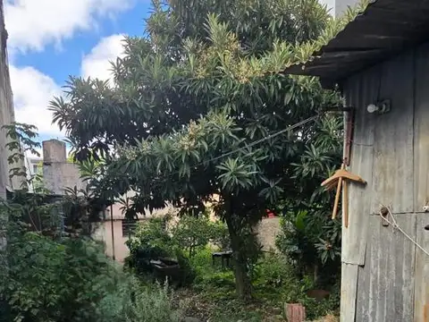 Bragado al 5300Bragado 5300