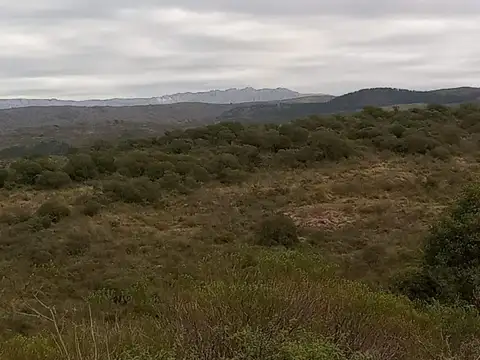 LOS SAUCES - PIEDRA LUNA - CABALANGO