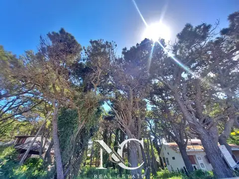 Calle Amapolas al 20