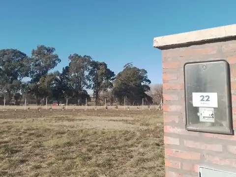 LOTE CERCADO Y PAQUIZADO EN VERBENAS 1