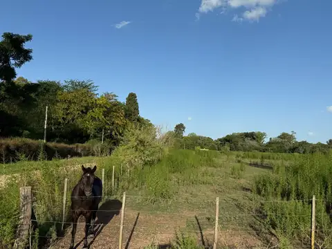 Terreno en Venta de 7981,0 m2