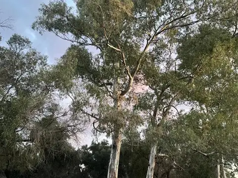 Terreno en Venta en Villa De Soto, USD 5.500