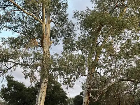 Terreno en Venta de 312,0 m2