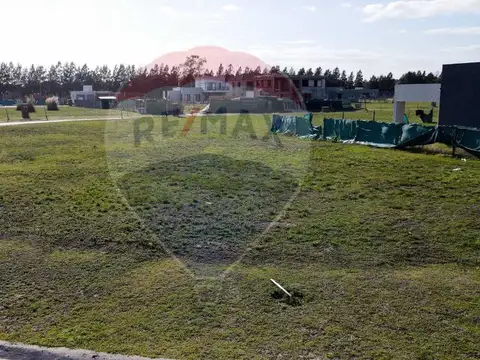 Calle El Deslinde 1100