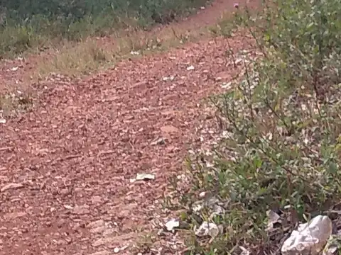 Terreno en Venta de 50000,0 m2