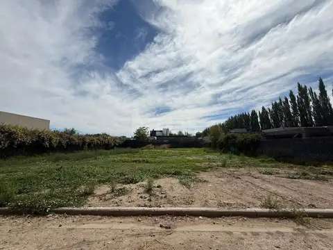 Terreno en Venta de 972,0 m2