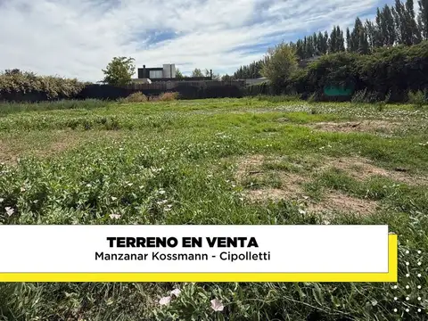 Terreno en venta Mnanzanar Kossmann Cipolletti