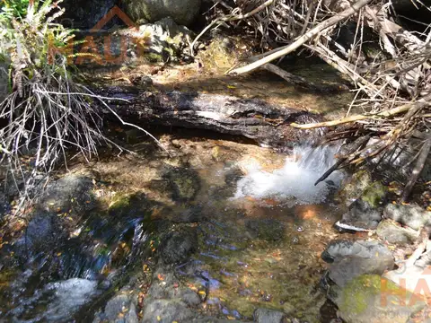 Terreno en Venta de 11825,0 m2